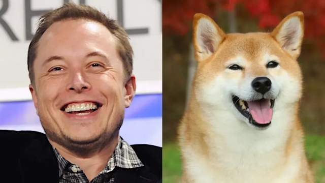 马斯克重磅“DOGE”推文发威，狗狗币价格即将冲击10美元大关吗？