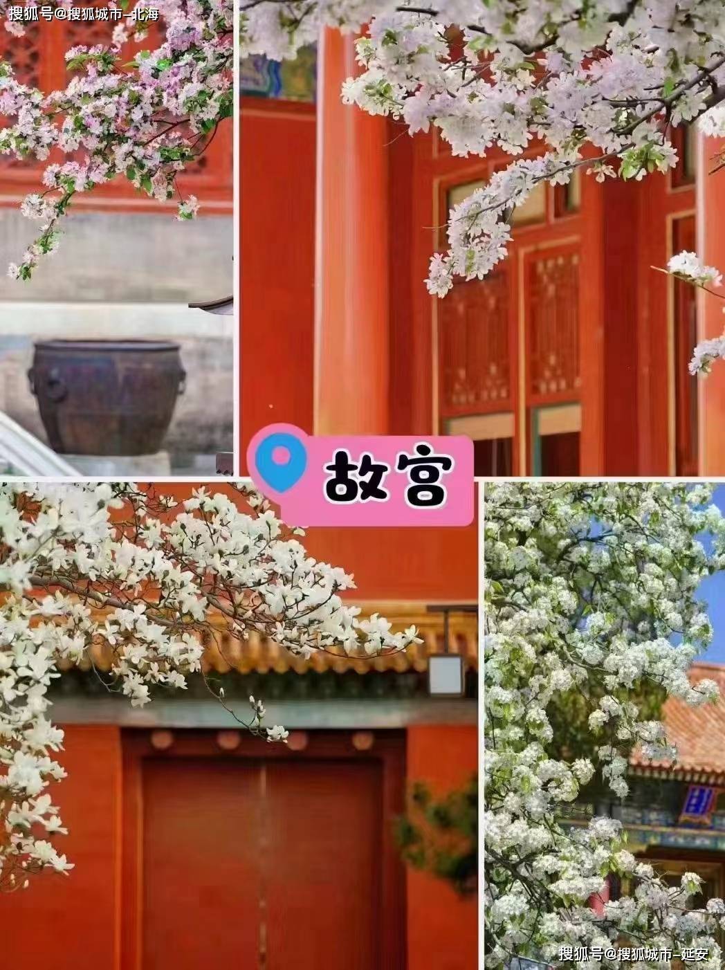 北京5日游多少钱人民币？建议收藏！北京导游费用多少钱一天？