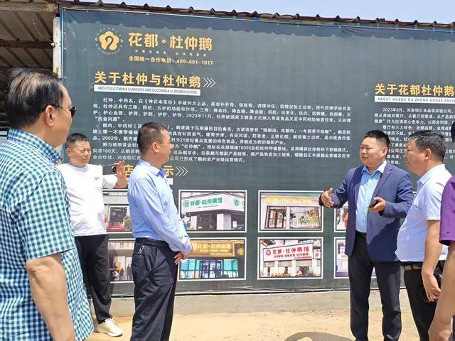 巩义市金口村引入杜仲产业 谋振兴新篇