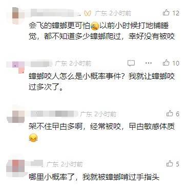 蟑螂也会咬人？网友纷纷评论被蟑螂咬过！