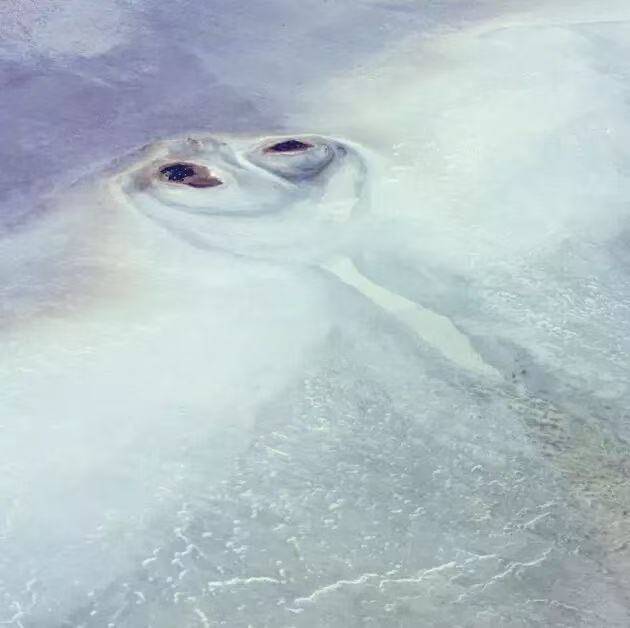 何俊杰高空摄影艺术：视角革命与技术伦理的对话