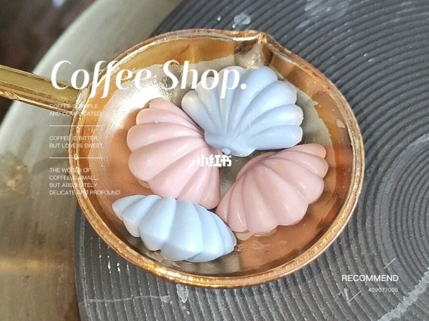 小贝壳虚拟币(小贝壳虚拟币骗局)